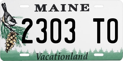 ME license plate 2303TO