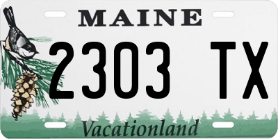 ME license plate 2303TX
