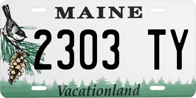 ME license plate 2303TY