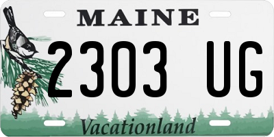 ME license plate 2303UG