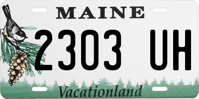 ME license plate 2303UH