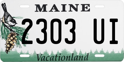 ME license plate 2303UI