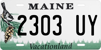 ME license plate 2303UY