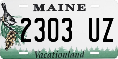 ME license plate 2303UZ