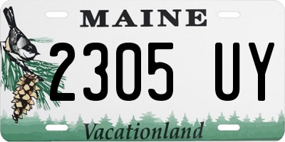 ME license plate 2305UY