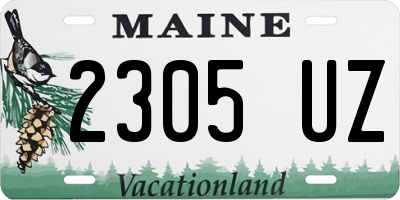 ME license plate 2305UZ