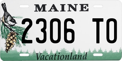 ME license plate 2306TO