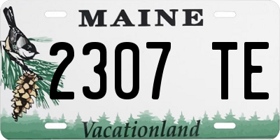 ME license plate 2307TE