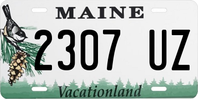 ME license plate 2307UZ