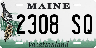 ME license plate 2308SQ