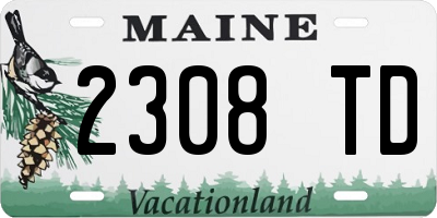 ME license plate 2308TD