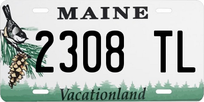 ME license plate 2308TL