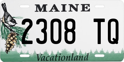 ME license plate 2308TQ