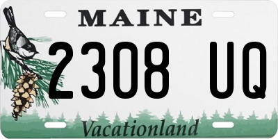 ME license plate 2308UQ