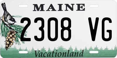 ME license plate 2308VG