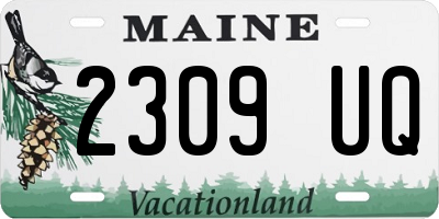 ME license plate 2309UQ