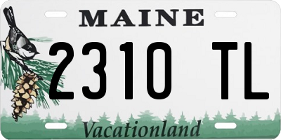 ME license plate 2310TL
