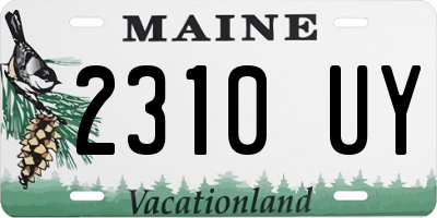 ME license plate 2310UY