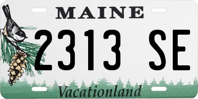 ME license plate 2313SE
