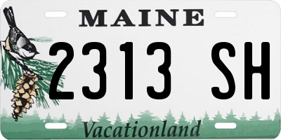 ME license plate 2313SH