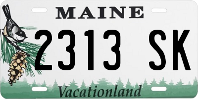 ME license plate 2313SK