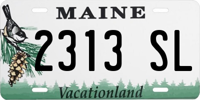 ME license plate 2313SL