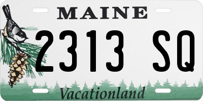 ME license plate 2313SQ
