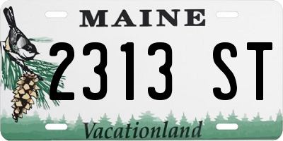 ME license plate 2313ST