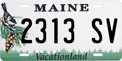 ME license plate 2313SV