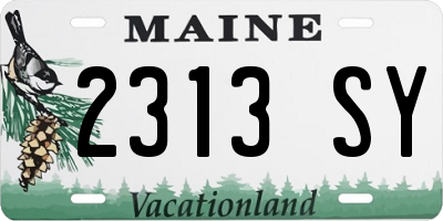 ME license plate 2313SY