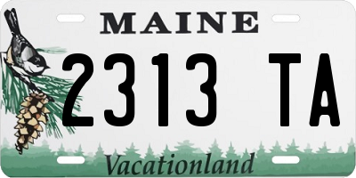 ME license plate 2313TA
