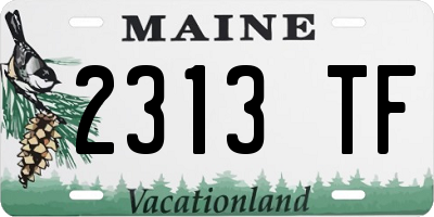 ME license plate 2313TF