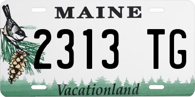 ME license plate 2313TG