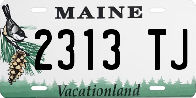 ME license plate 2313TJ