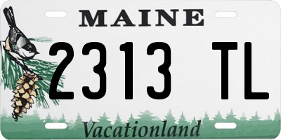 ME license plate 2313TL