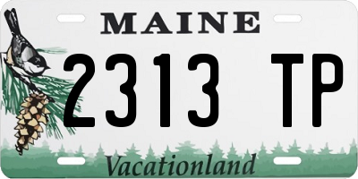 ME license plate 2313TP