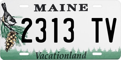 ME license plate 2313TV