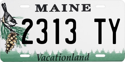 ME license plate 2313TY