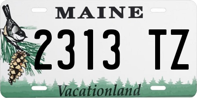 ME license plate 2313TZ