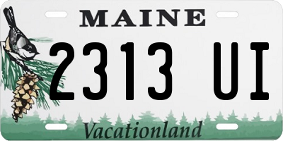 ME license plate 2313UI