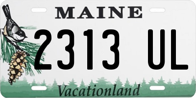 ME license plate 2313UL