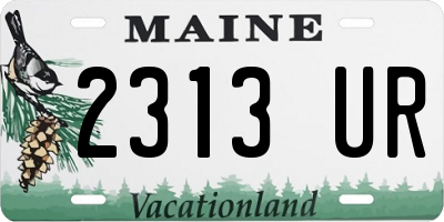 ME license plate 2313UR