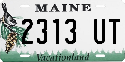 ME license plate 2313UT