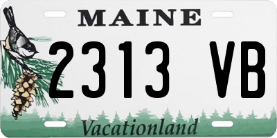 ME license plate 2313VB