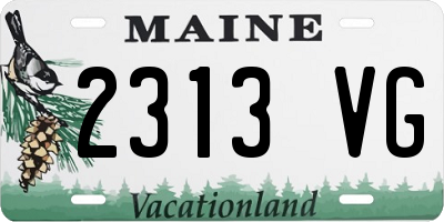 ME license plate 2313VG