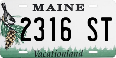 ME license plate 2316ST