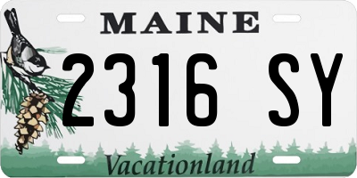 ME license plate 2316SY