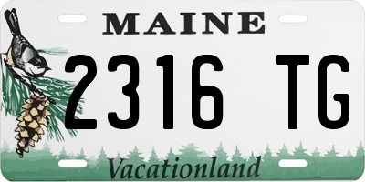 ME license plate 2316TG