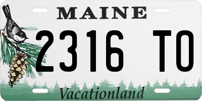 ME license plate 2316TO