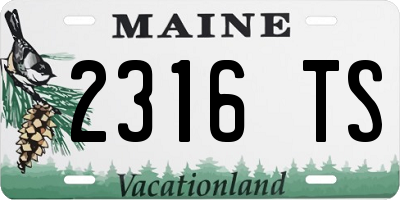 ME license plate 2316TS